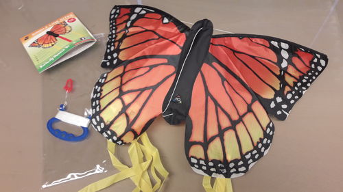 Schmetterling Monarch R 50 % Rabatt